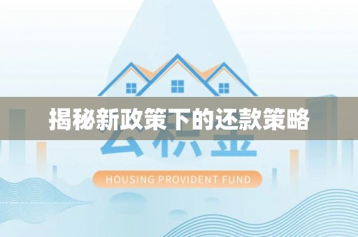 从化揭秘新政策下的还款策略