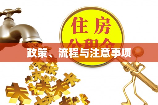 从化政策、流程与注意事项
